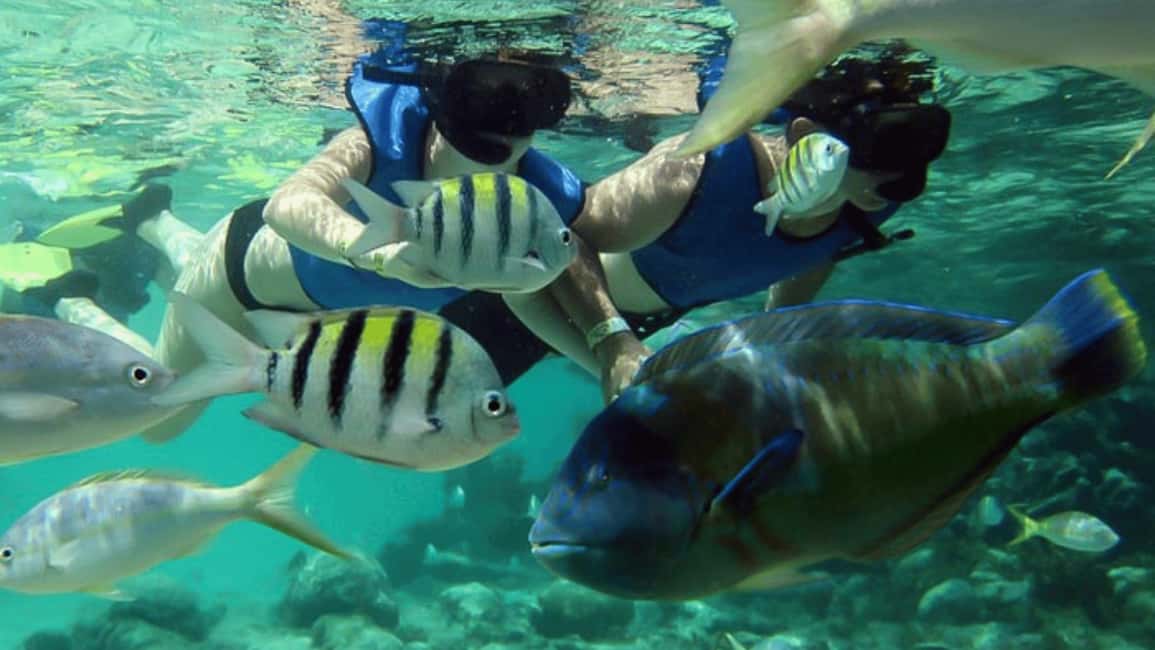 Saona Island: Hidden Beach & Natural Pool - Return Journey & Coastal Views