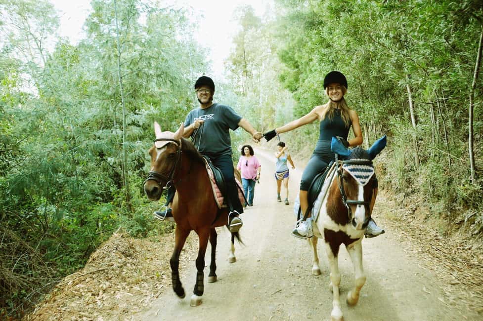 Private: Punta Cana: Horseback Riding Tour with Sunset - A Close Look at the Horseback Riding Tour with Sunset
