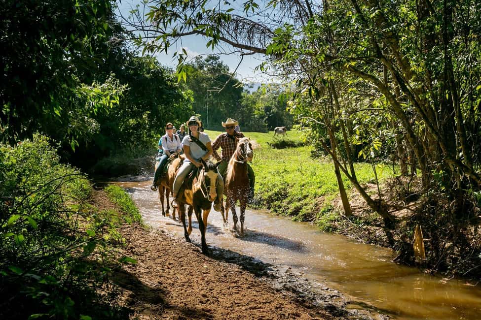 Private: Punta Cana: Horseback Riding Tour with Sunset - Key Points