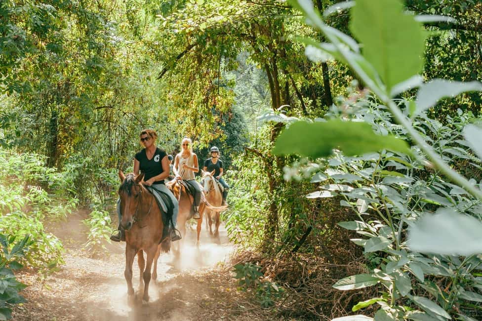 Private: Punta Cana: Horseback Riding Tour with Sunset - Who Should Consider This Tour?