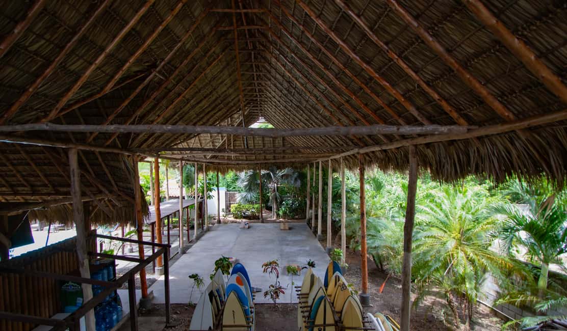 Private: Rural & Urban Dominican Life Tour: Flavors, Fields - What Makes This Tour Stand Out?