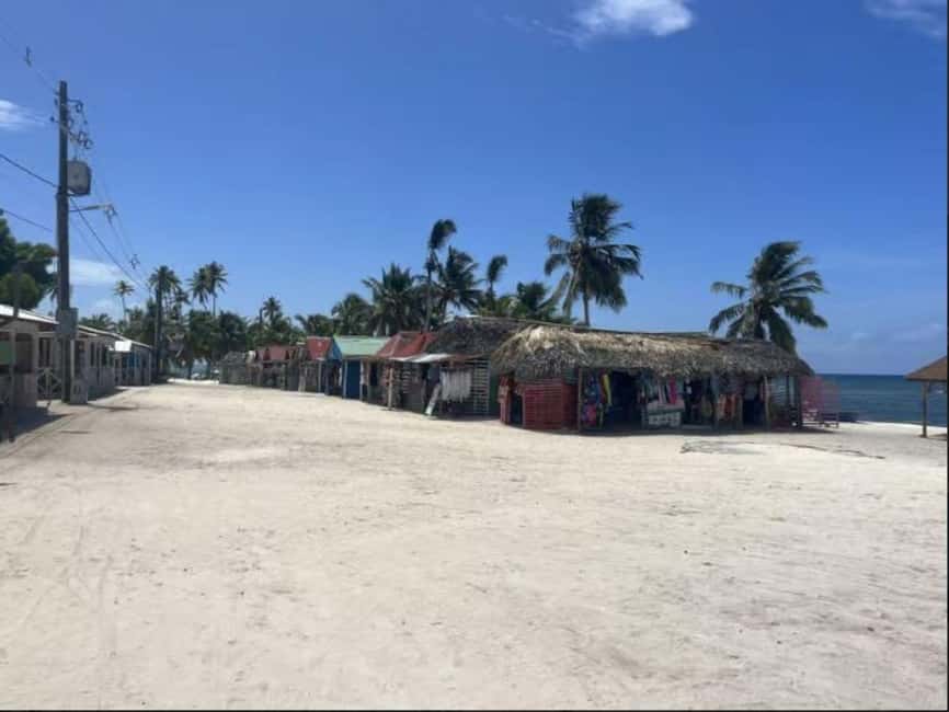 Private Buggy Safari Sugar Plantation & Chavón River Journey - A Deep Dive into the Experience