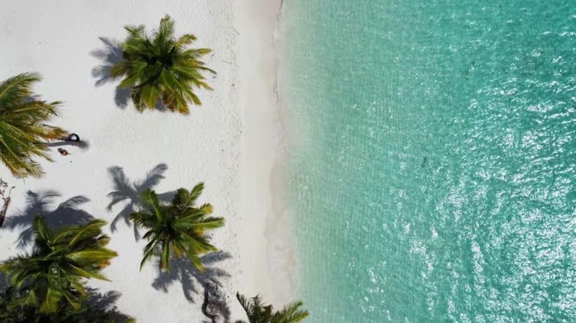 Private Buggy Safari Sugar Plantation & Chavón River Journey - Practical Details to Know