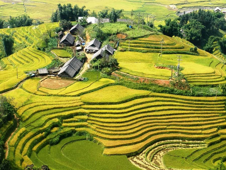 Sapa: No-Trek Tour - Muong Hoa Valley, Villages & Spa - Good To Know