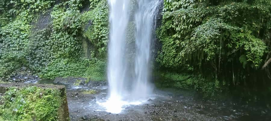 Authentic Lombok: Nature, Tradition & Historic Heritage - Rice Terraces of Bangket Bayan: A Green Paradise