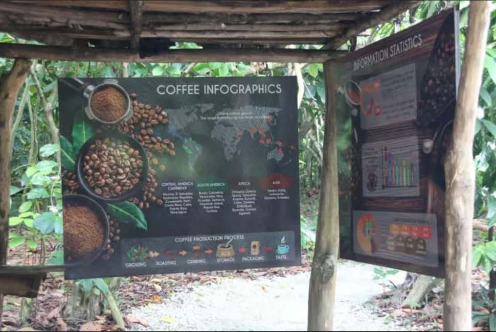 Private E-Bike Adventure Macao, El Salado, Ceiba & El Caño - Practical Details and Considerations