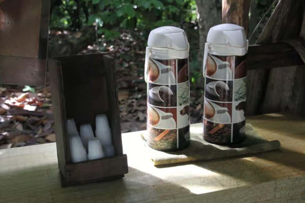 Private E-Bike Adventure Macao, El Salado, Ceiba & El Caño - Good To Know