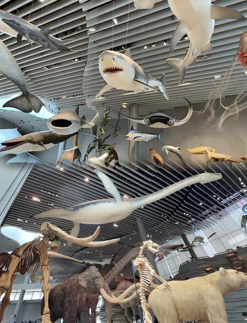 Shanghai: Yu Garden, City God Temple & River Cruise Tour - Key Points