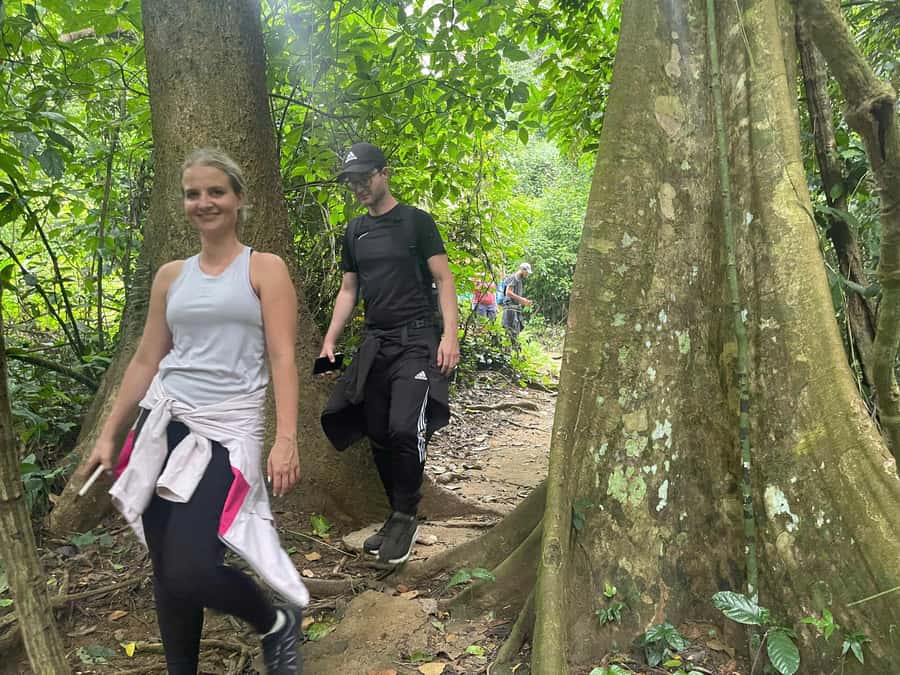 Ninh Binh: CUC PHUONG Park Jungle Hike Day Tour, SMALL GROUP - What We Love About This Tour  