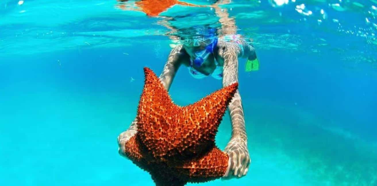 Punta Cana: Saona Island VIP Catamaran Tour with Lunch - Who Will Love This Tour?