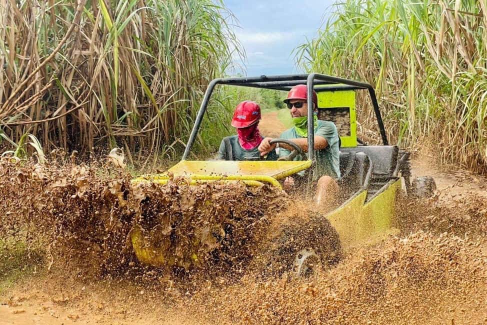 Punta Cana: Private SugarCane Fields Buggy or Quad Adventure - Key Points