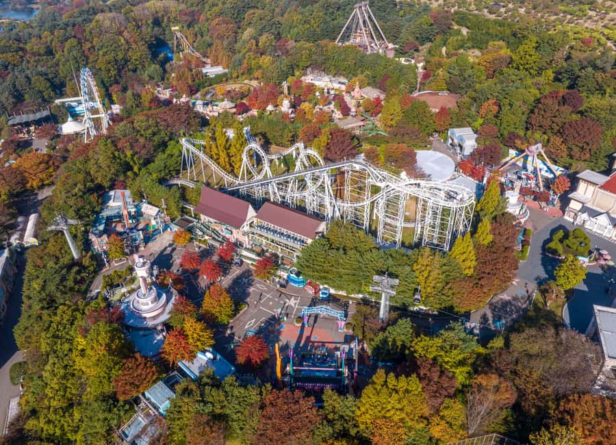 Seoul: Everland Theme Park Entry Ticket - Final Thoughts
