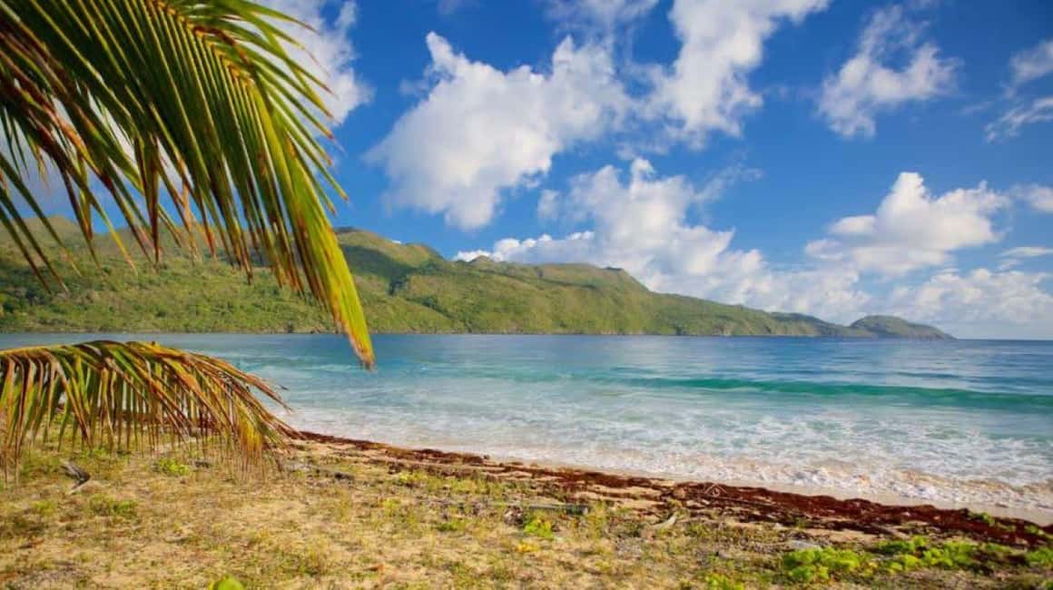 Private Rincón Beach & Bacardi Island from Punta Cana - An In-Depth Look at the Tour Experience