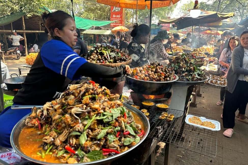 Phnom Penh: Oudong Mountain and Temples Guided Day Trip - What Makes This Tour Stand Out?  