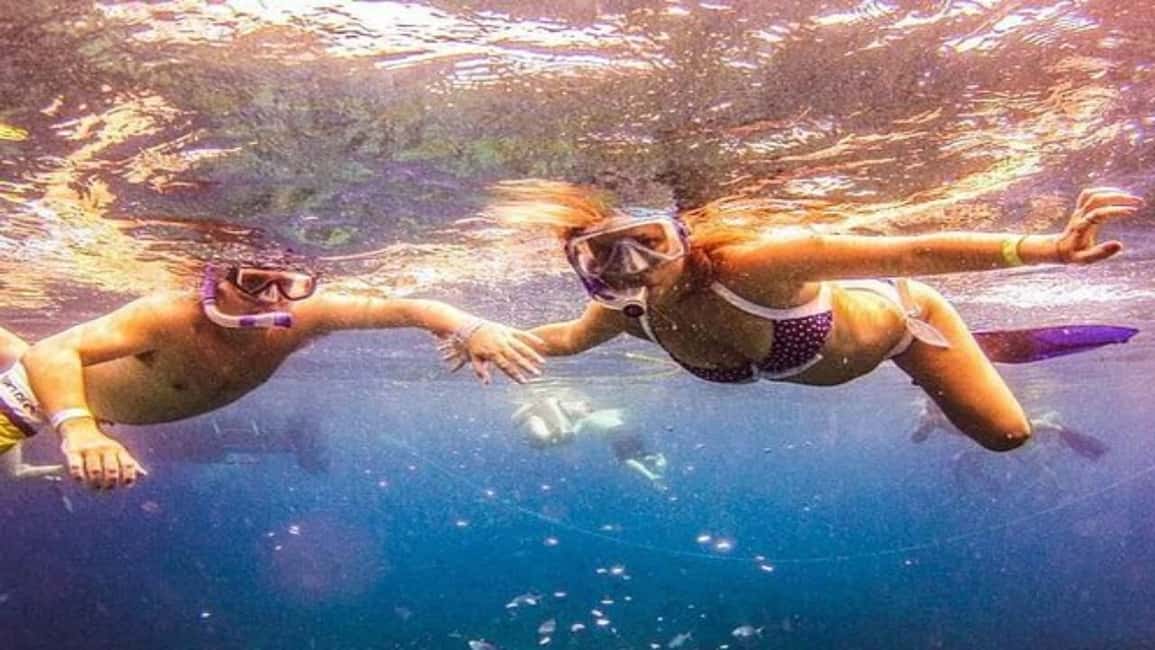 Private: Catalina Island Diving Tour with Lunch - Practical Tips for Your Day