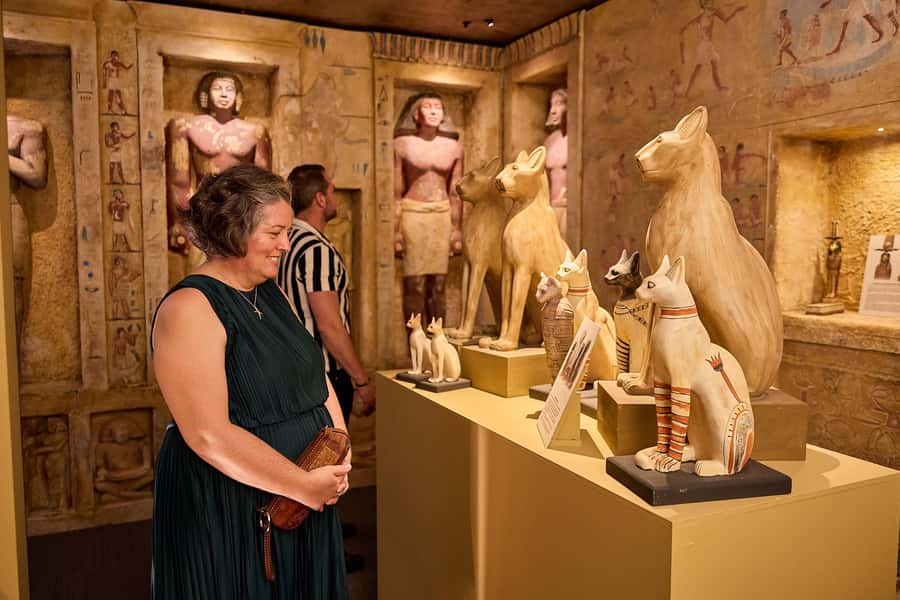 Ancient Egypt Night Tour in the heart of Cairns - Exploring the Tour Experience in Detail