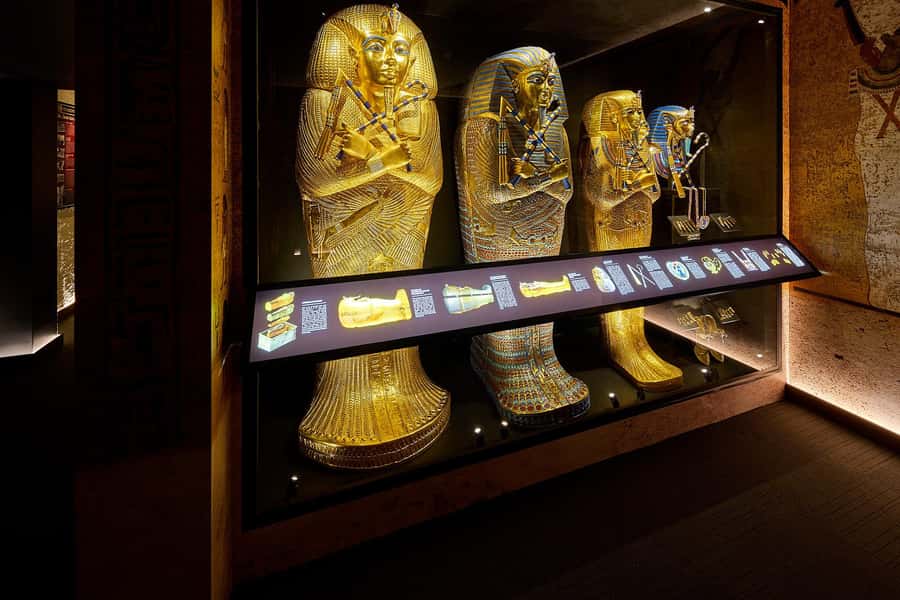 Ancient Egypt Night Tour in the heart of Cairns - Practical Details and What to Expect