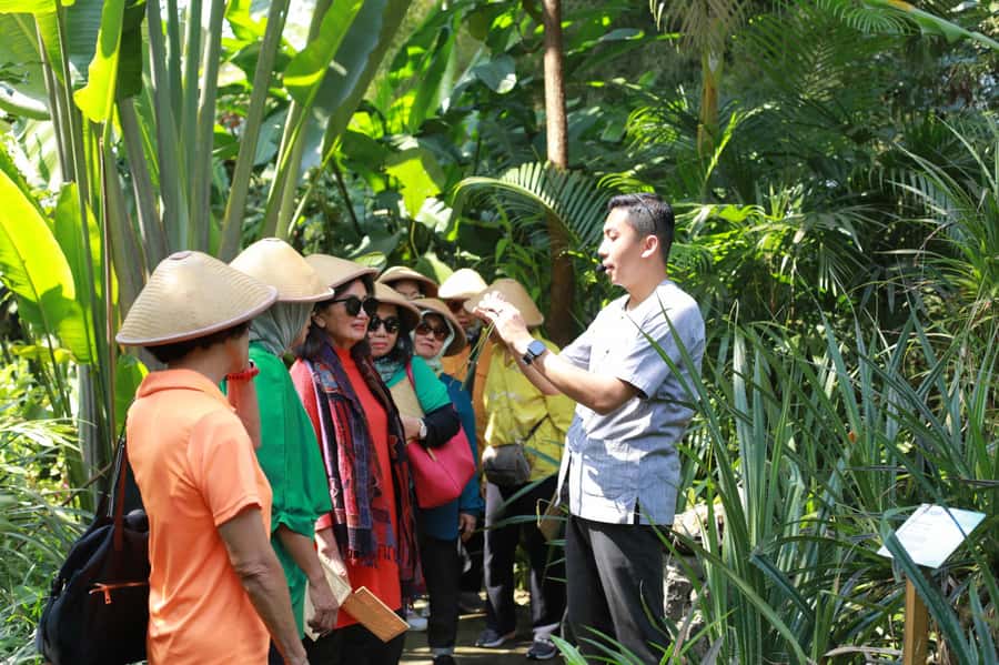 Yogyakarta: Borobudur guarantee Climb up & Weaving Maker - What to Expect During the Tour