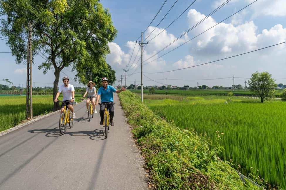 Ride to the Lost Kingdom: Cycle Hanoi to Ancient C Loa - Exploring the Ancient C Loa Citadel