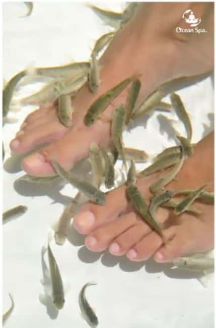 Private: Adults-Only Floating Ocean Spa with Massage & Yoga - Exploring the Floating Spa Experience in Punta Cana