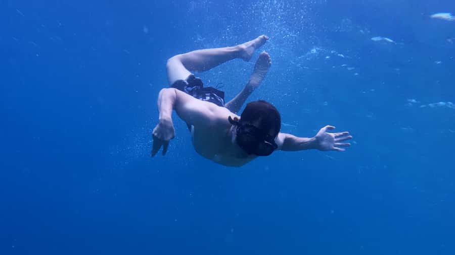 Banyuwangi: Tabuhan & Menjangan Island Snorkeling Tour - Cost and Value