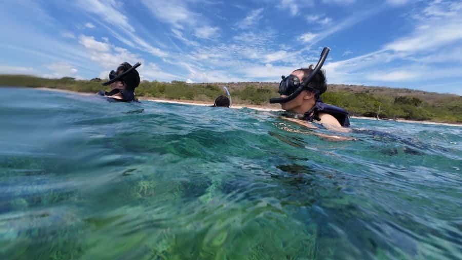 Banyuwangi: Tabuhan & Menjangan Island Snorkeling Tour - Good To Know