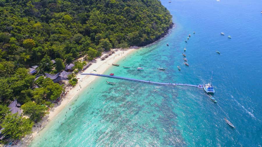 Phuket: Coral, Racha Island & Promthep Sunset Catamaran Tour - Good To Know