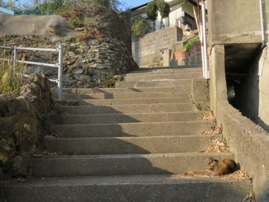 Wakayama: Saikazaki, Fishing Town Walking Tour - Discovering Saikazaki: A View of Traditional Japan