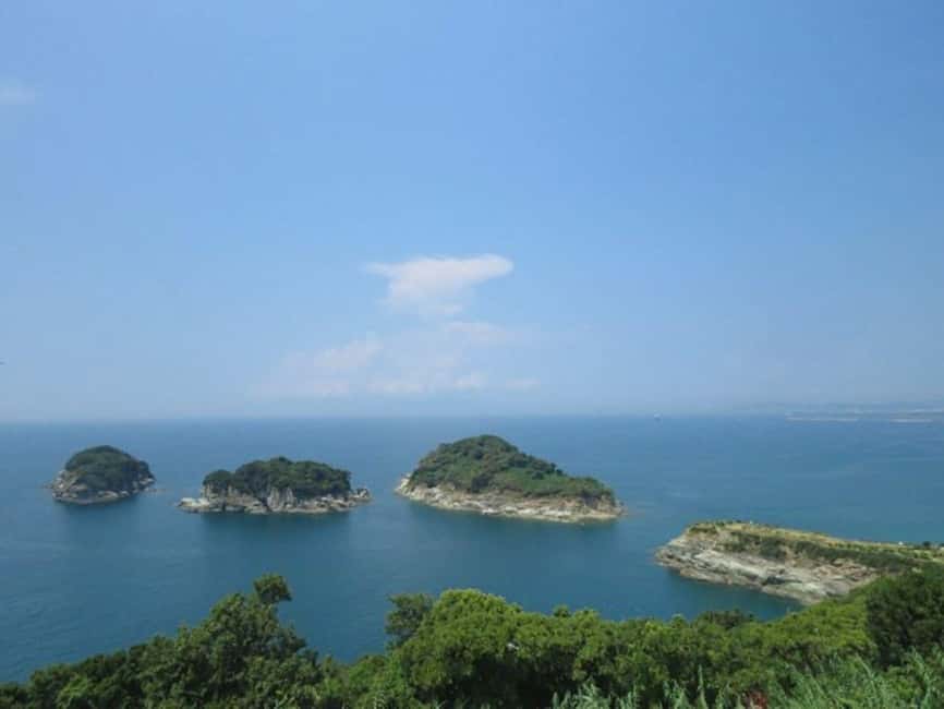 Wakayama: Saikazaki, Fishing Town Walking Tour - What To Expect During the Tour