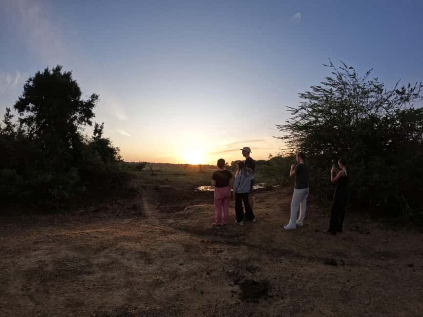 Morning Nature Walk in Bundala Village - An Overview of the Experience