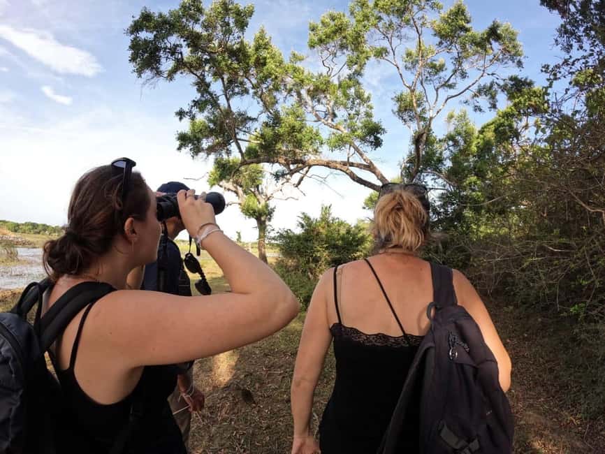 Morning Nature Walk in Bundala Village - What Sets This Tour Apart?