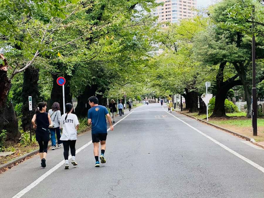 Tokyo: Run your way & Relax in a Tattoo-Friendly Public Bath - Practicalities and Tips