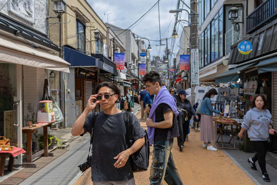 Tokyo: Yanesen Cultural & Hidden Gems Guided Walking Tour - In-Depth Look at the Itinerary