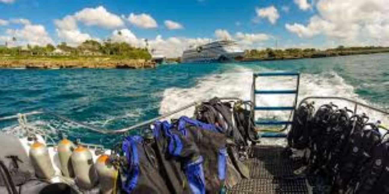 Punta Cana: Catalina Island Scuba Diving Day Trip - An In-Depth Look at the Catalina Island Scuba Adventure
