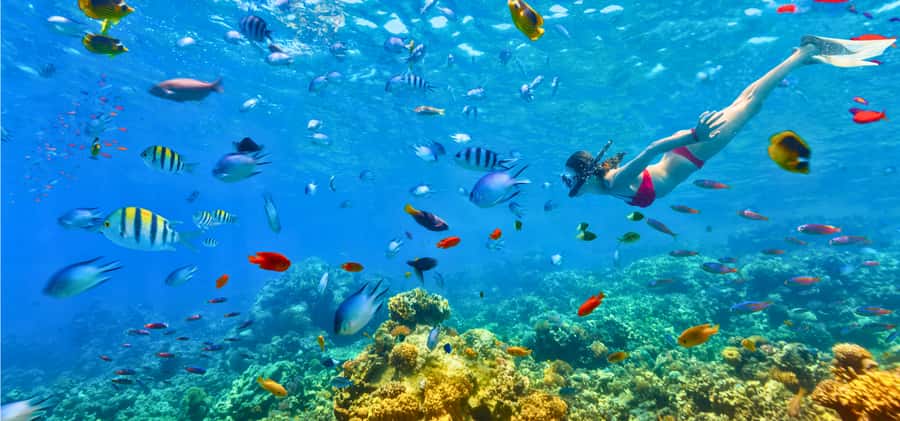 Coron: 2-Day Guided Overnight Island Stay with Meals - Final Thoughts: Who Will Love This Tour?