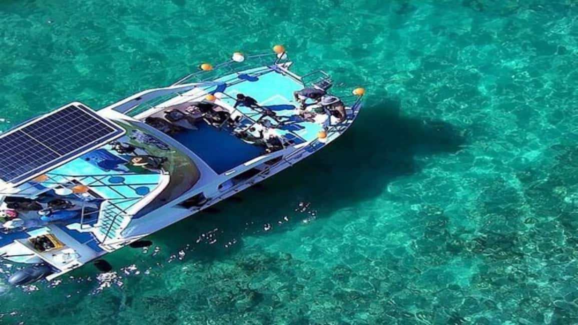 Punta Cana: Whale Watching, Cayo Levantado & Waterfall - Whale Watching: The Main Attraction