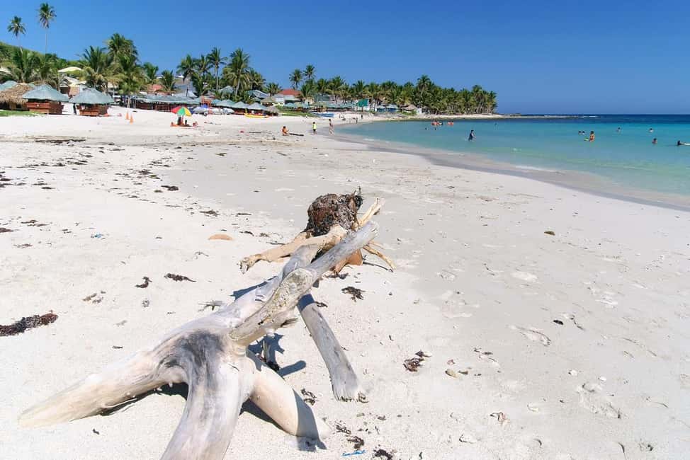 Private Catalina Island Snorkel & Beach Day from Punta Cana - A Few Considerations