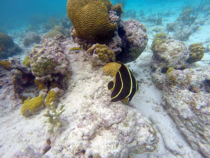 Private Catalina Island Snorkel & Beach Day from Punta Cana - The Itinerary: A Closer Look at Your Day