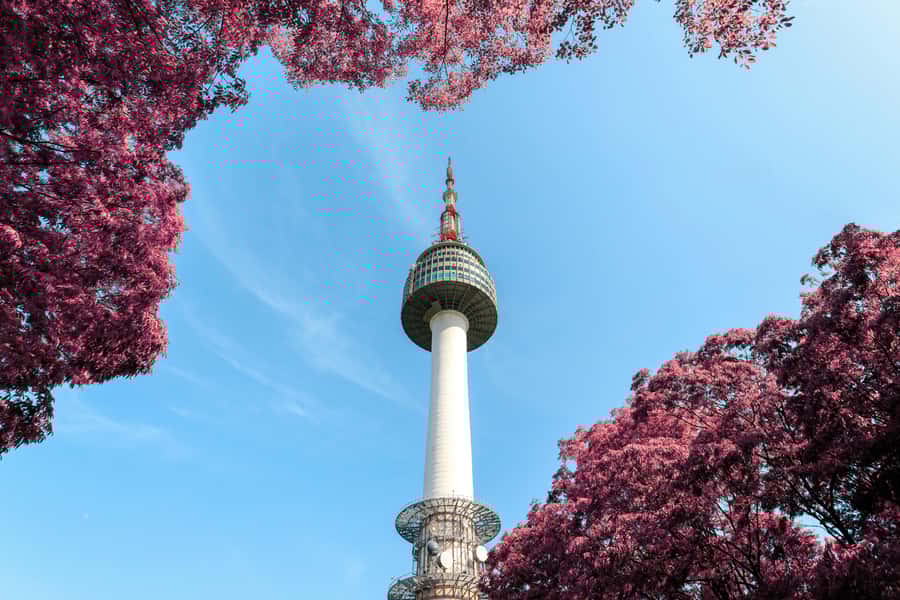 Seoul: N Seoul Tower Observatory & Cable Car Combo Ticket - Who Would Love This Tour?