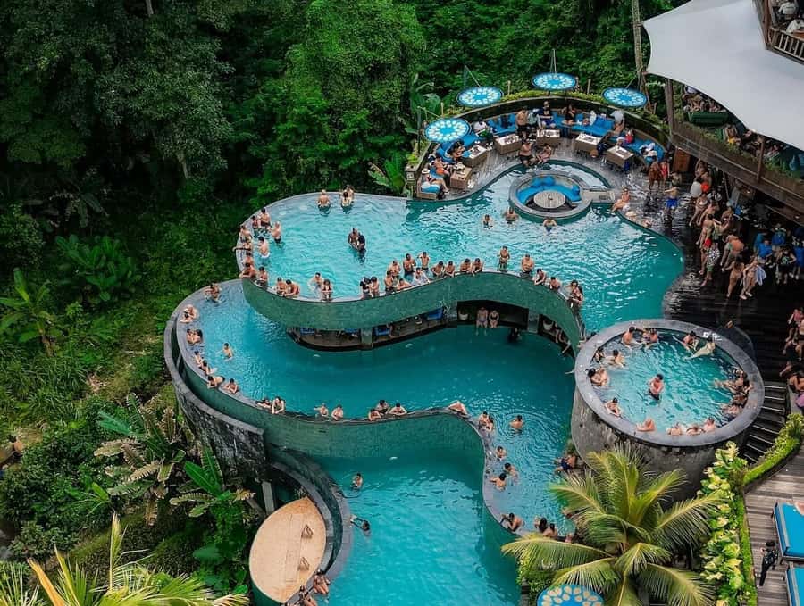 Ubud: Monkey Forest, Cretya Pool & Zipline Shared Tour - Who Is This Tour Best For?