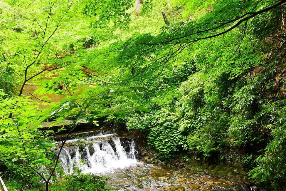 Kyoto: Kurama to Ohara Mountain Temples & Countryside Tour - Kifune Shrine & Riverside Tea Break