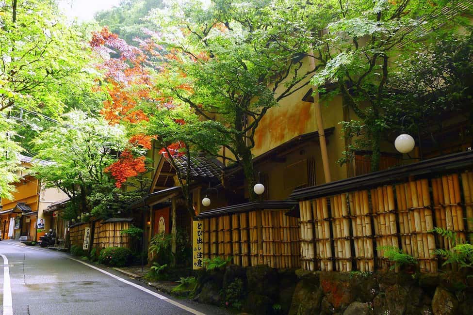 Kyoto: Kurama to Ohara Mountain Temples & Countryside Tour - What’s Included & What’s Not