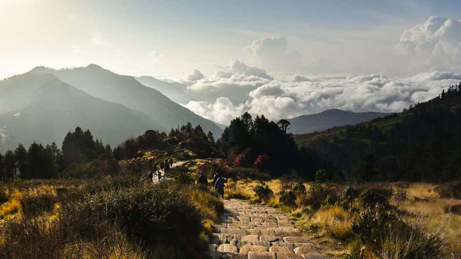 Ghorepani Poonhill Trek 8 Days - Why the Ghorepani Poonhill Trek is Worth Considering