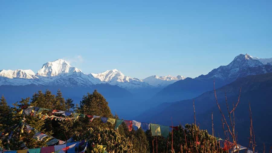Ghorepani Poonhill Trek 8 Days - What Youll Experience Along the Trail