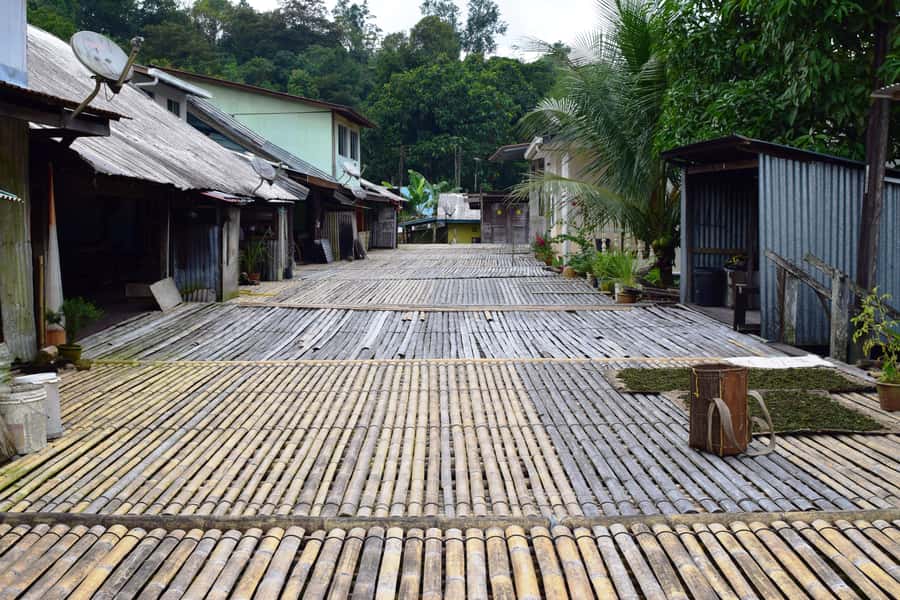 Kuching: Annah Rais Longhouse Tour with Lunch - Practical Details & Tips for Your Visit