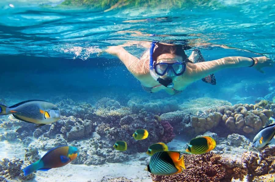 Kailua Kona: Kealakekua Bay Snorkeling Tour with Lunch - FAQs