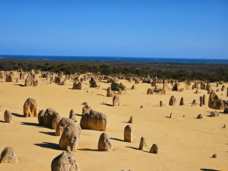 Perth: Pinnacles Desert & Sand Dunes Private Day Tour - Why This Tour Offers Great Value