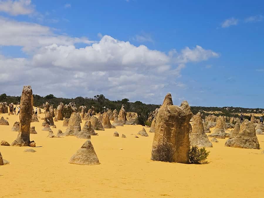 Perth: Pinnacles Desert & Sand Dunes Private Day Tour - Practical Considerations