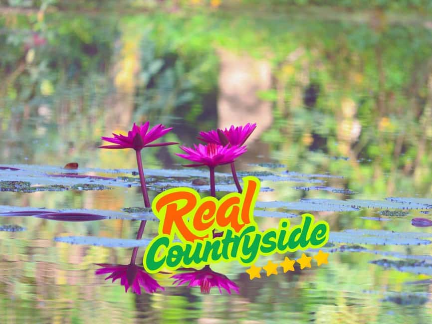 Siem Reap to Battambang: Train Ride, Lunch & Bat Caves - Why Choose This Tour?