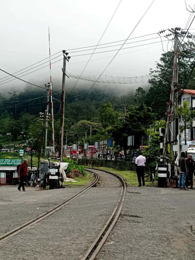 Haputale Day Tour by Tuk Tuk - Nature & Culture - The Sum Up